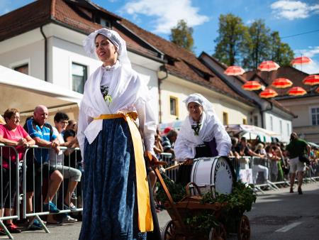 Izjemen obisk zaznamoval 50. Dneve narodnih noš in oblačilne dediščine v Kamniku (Blaž T. Muc)  (59)
